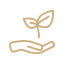 緑_C_3px